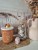 DW HOME Harvest Festival - Świeca jesienna paczula, jabłko i szyszki 323g