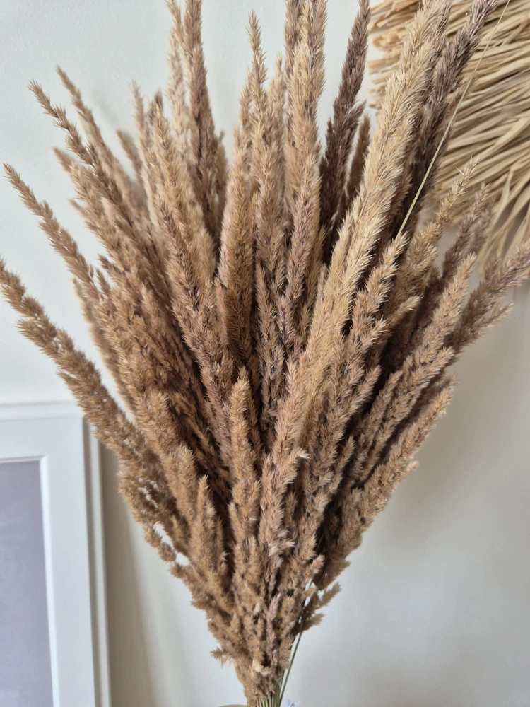 Bukiet Sepia - Boho suszone naturalne trawy 100 sztuk 68cm