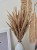 Bukiet Sepia - Boho suszone naturalne trawy 100 sztuk 68cm
