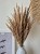 Bukiet Sepia - Boho suszone naturalne trawy 100 sztuk 68cm