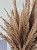Bukiet Sepia - Boho suszone naturalne trawy 100 sztuk 68cm