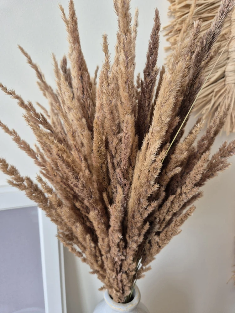 Bukiet Sepia - Boho suszone naturalne trawy 100 sztuk 68cm