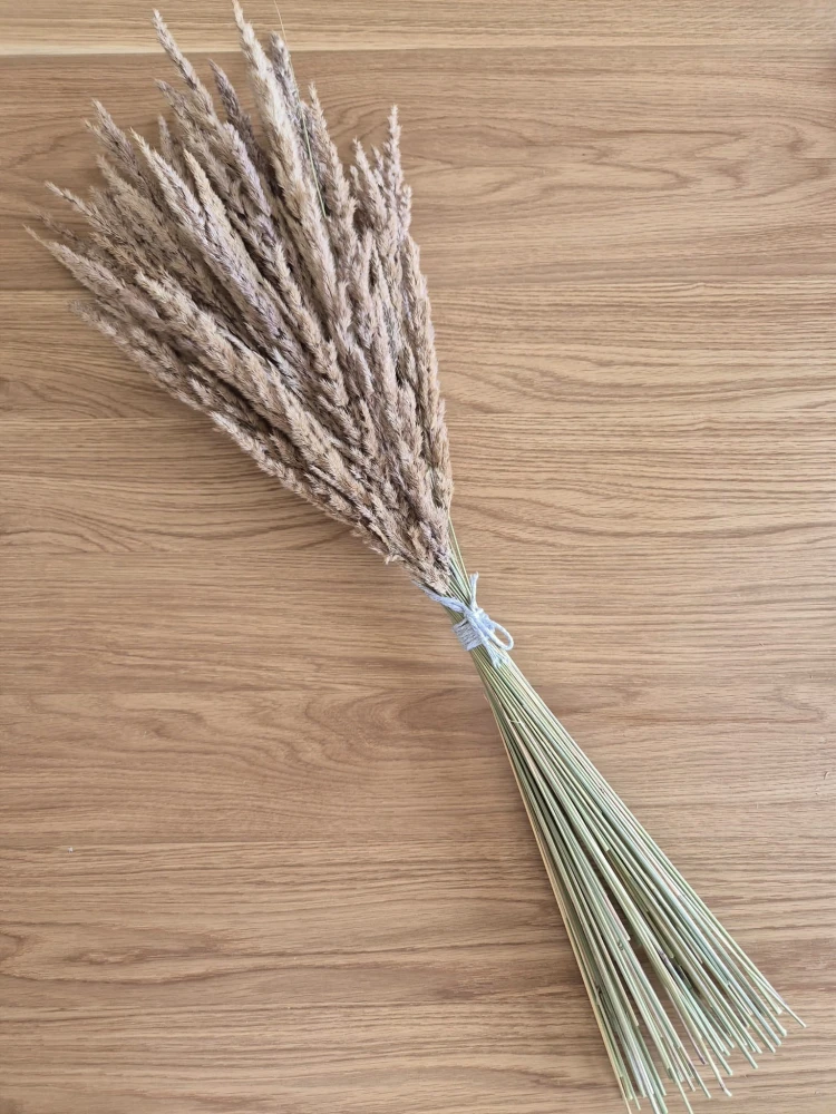 Bukiet Sepia - Boho suszone naturalne trawy 100 sztuk 68cm