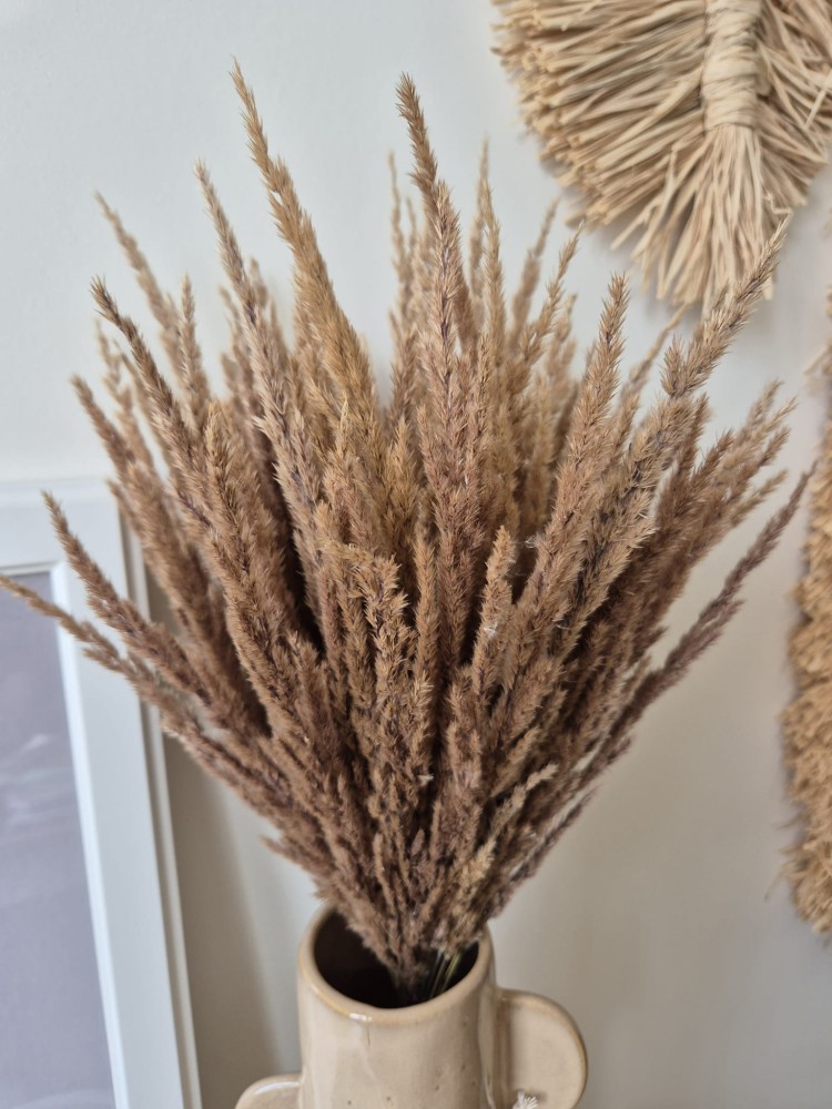 Bukiet Sepia - Boho suszone naturalne trawy 100 sztuk 60cm
