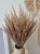 Bukiet Sepia - Boho suszone naturalne trawy 100 sztuk 60cm