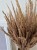 Bukiet Sepia - Boho suszone naturalne trawy 100 sztuk 60cm