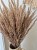 Bukiet Sepia - Boho suszone naturalne trawy 100 sztuk 60cm