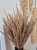 Bukiet Sepia - Boho suszone naturalne trawy 100 sztuk 60cm