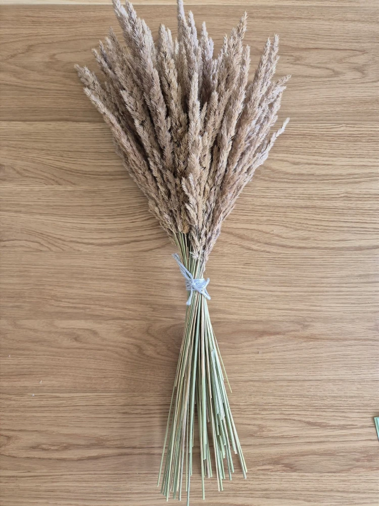 Bukiet Sepia - Boho suszone naturalne trawy 100 sztuk 58cm