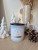 DW HOME Peppermint Bark - Świeca zimowa czekolada i mięta