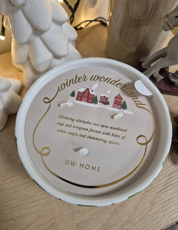 DW HOME Winter Wonderland - Świeca zimowa las, szałwia, biały klon, przyprawy korzenne 536