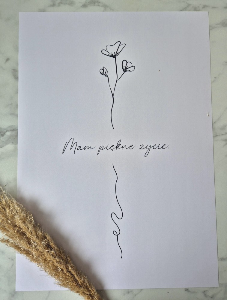Mam piękne życie. - plakat a4/a3