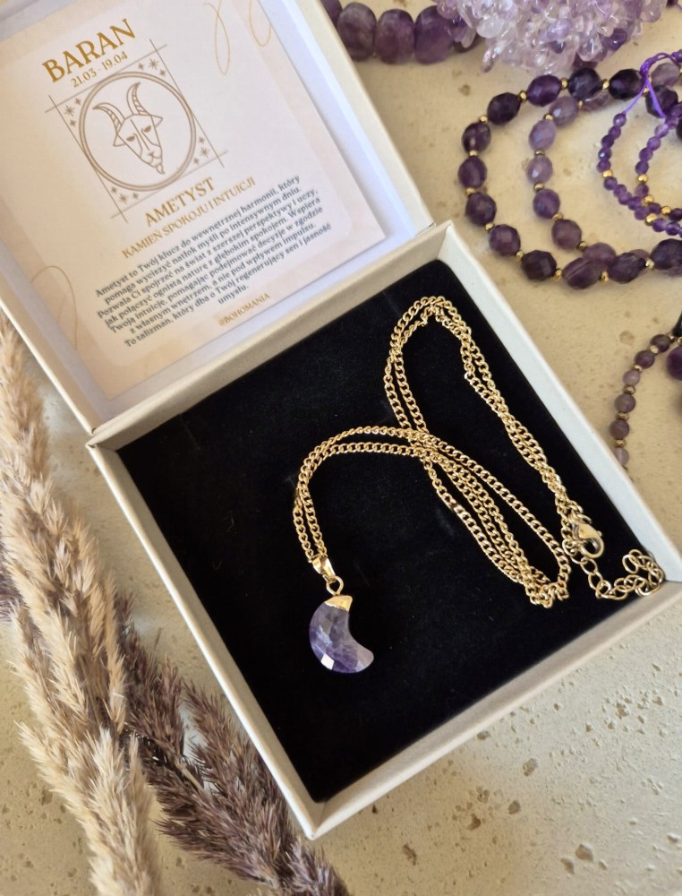 Talizman intuicji | Naszyjnik zodiakalny Baran ametyst księżyc i stal chirurgiczna